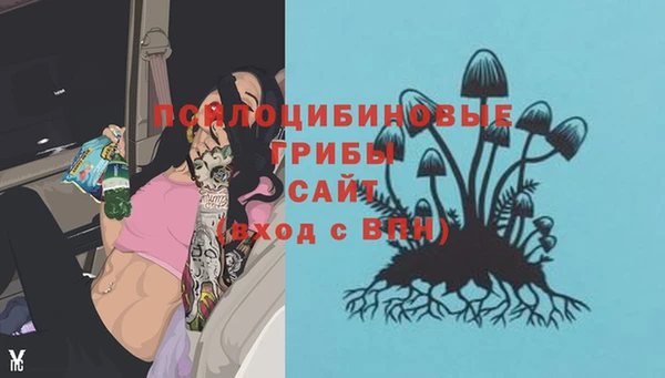 ALPHA PVP Каменка