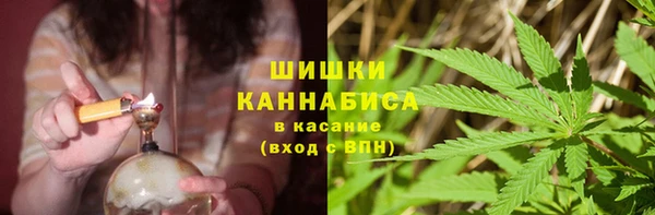 твердый Касимов