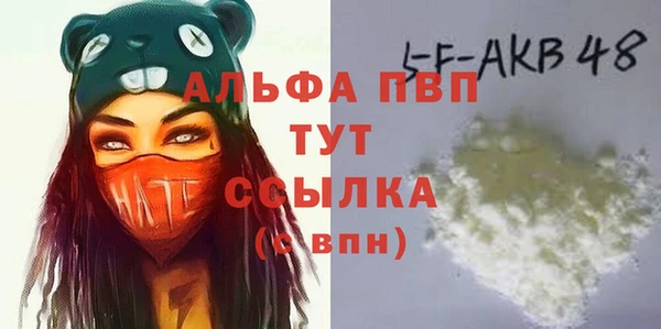 твердый Касимов