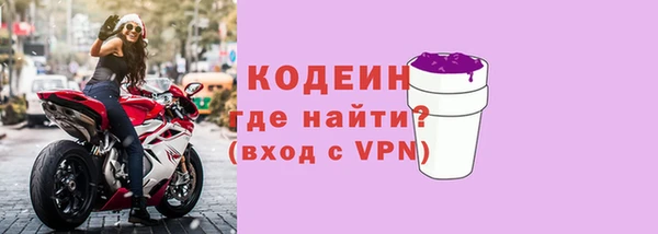 соль ск Каменногорск