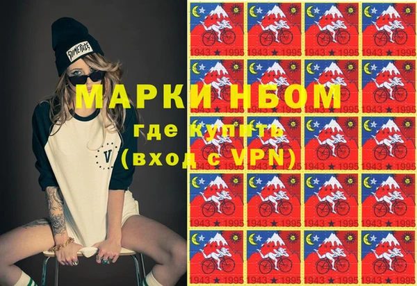 соль ск Каменногорск