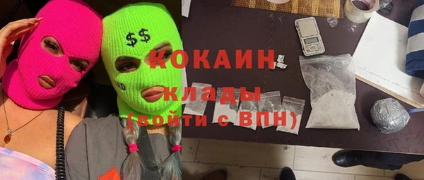 соль ск Каменногорск