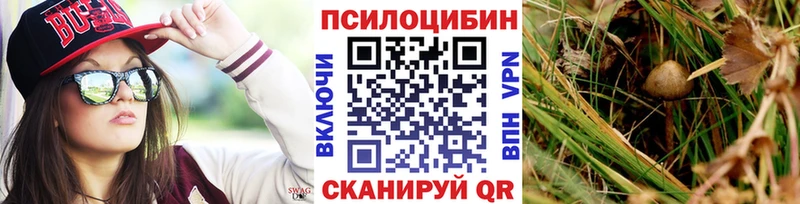 Галлюциногенные грибы Psilocybine cubensis  hydra как войти  Людиново  где продают наркотики 