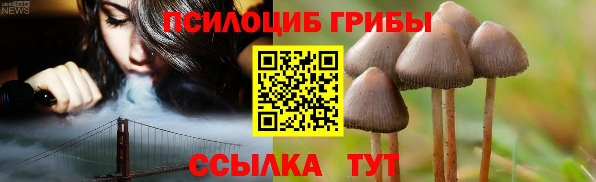 Галлюциногенные грибы Cubensis  Вход с VPN  Людиново  Псилоцибиновые грибы Psilocybe 